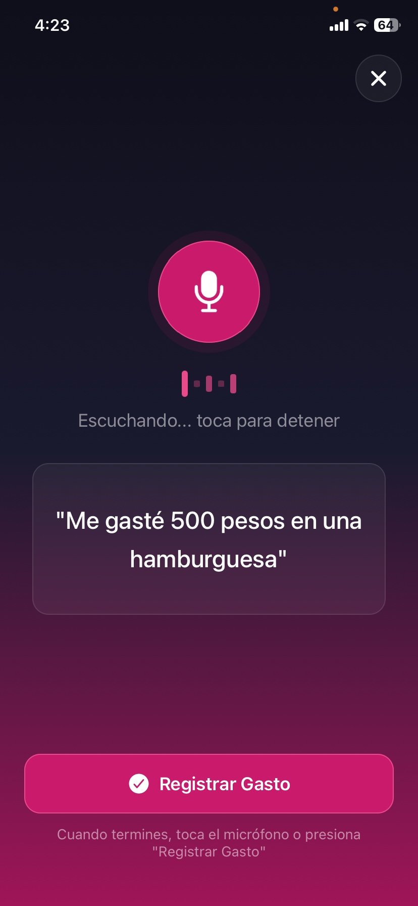 Registra gastos por voz